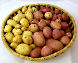 обряд на урожай картофеля