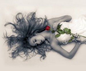 роза - символ любви